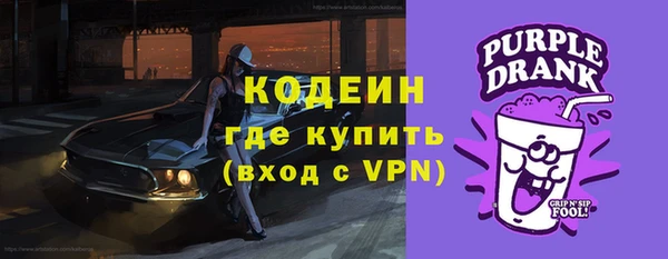 хмурый Алзамай