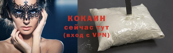 хмурый Алзамай