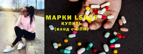 хмурый Алзамай