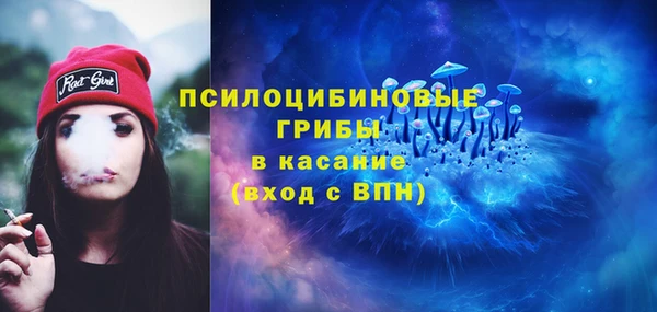 герыч Алексин